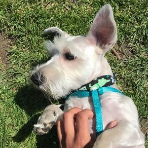 Meet your Posher, Michael